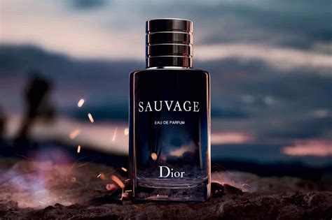 sauvage Dior cologne ingredients